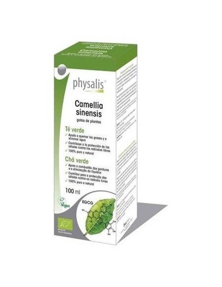 Tintura Camellia sinensis (Té Verde) de Physalis