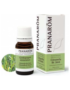 Citronela De Java Aceite Esencial 10Ml. de Pranarom Aceites 2