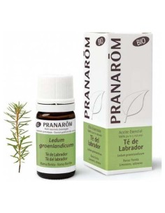 Te Del Labrador Aceite Esencial Bio 5Ml. de Pranarom Aceites 2