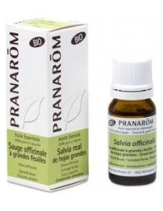Salvia Real Hojas Grandes Aceite Esencial Bio 10Ml de Pranarom Aceites 2