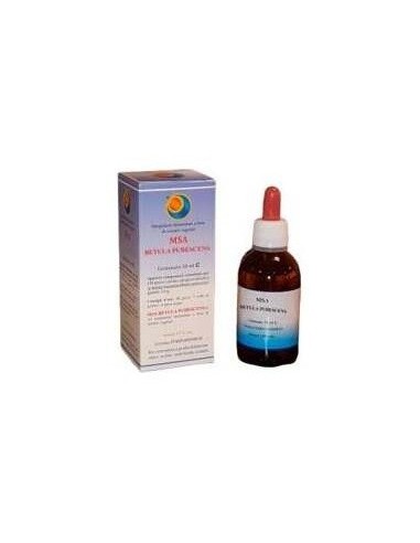 Msa Betula Pubencens Yemas 50Ml. de Herboplanet