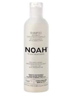Champu Antiamarillo Con Ext Arandano Azul 250Ml. de Noah 2