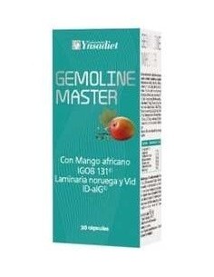 Gemoline Master 30 Caps. V de Ynsadiet 2