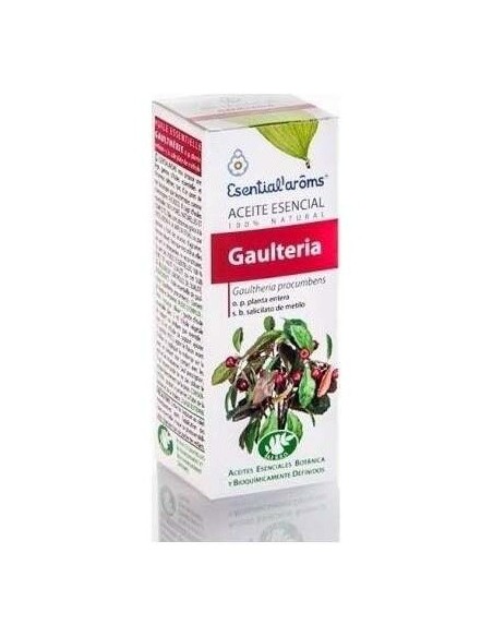 Gaultheria Aceite Esencial 10Ml. Esentialaroms de Esential Aroms