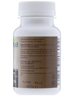 Reishi 500Mg Cáps. 90U de Sotya 2