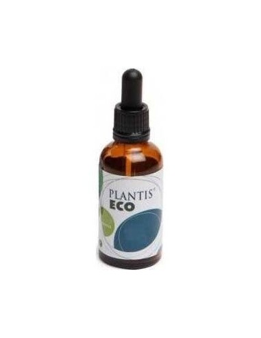 Extracto Brusco Plantis 50 Ml de Artesania