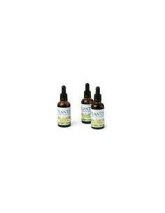 Extracto Olivo Plantis 50 Ml de Artesania 2