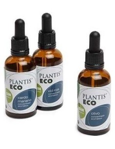 Ext Espino B Eco S/Alc Plantis de Artesania 2