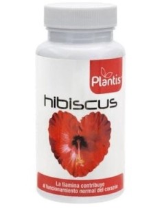Hibiscus Plantis 60Cap. de Artesania 2