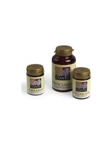 Cinaris Alcacho. Plantis 60Cap de Artesania