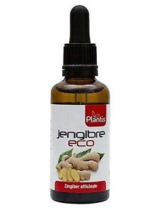 Extr Jengibre Eco Plantis 50Ml de Artesania 2