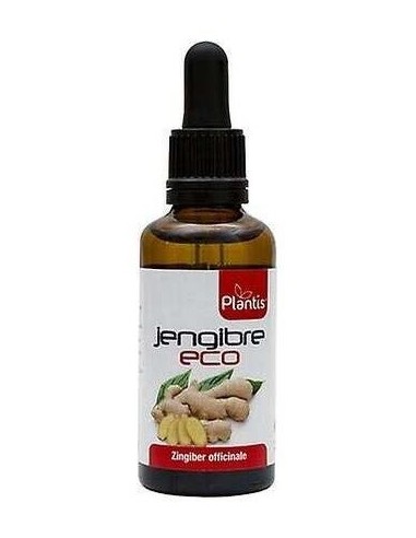 Extr Jengibre Eco Plantis 50Ml de Artesania