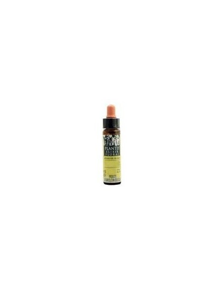 Gorse Plantis Flores De Bach Nº 13 10Ml. de Artesania