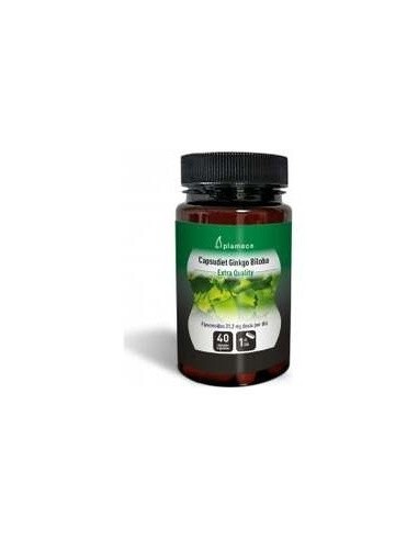 Ginkgo Biloba Capsudiet 40Cap. de Plameca