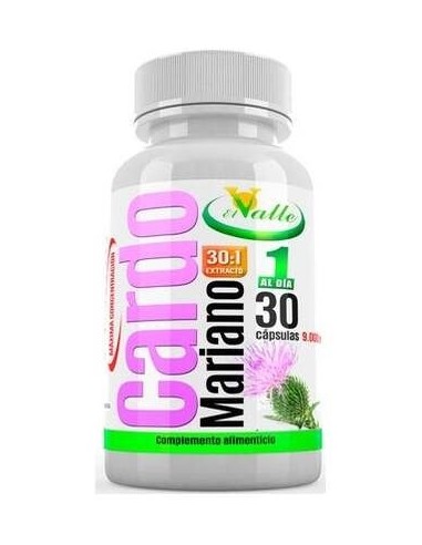 Cardo Mariano 30Cap. de El Valle