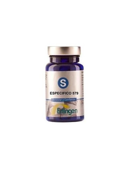 Especifico 579 60Comp. de Erlingen