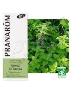 Menta Campo Aceite Esencial Alimentario Bio 10Ml. de Terpenic 2