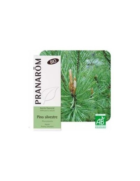 Pino Silvestre Aceite Esencial Bio 10Ml. de Terpenic