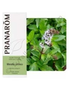 Menta Poleo Aceite Esencial Alimentario 10Ml. de Terpenic 2
