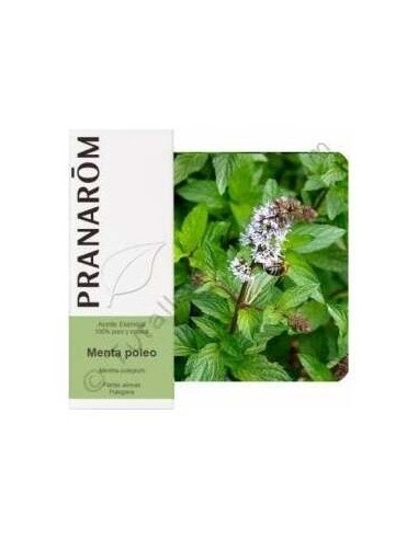 Menta Poleo Aceite Esencial Alimentario 10Ml. de Terpenic