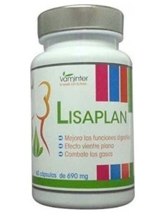 Lisaplan 60Cap. de Vaminter 2