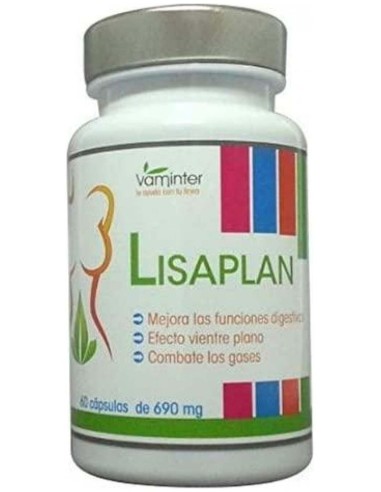Lisaplan 60Cap. de Vaminter
