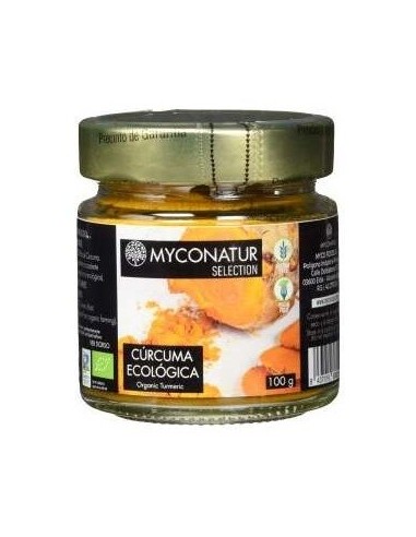 Curcuma Polvo 100Gr. Eco de Myconatur