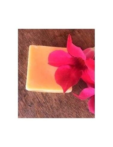 Acondicionador Solido Antifrizz 55Gr. de Nitx