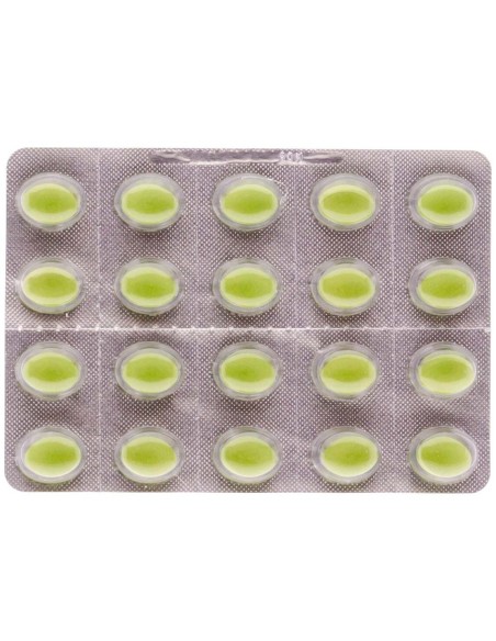 Chitosan Vegetal 60 comp de Eladiet