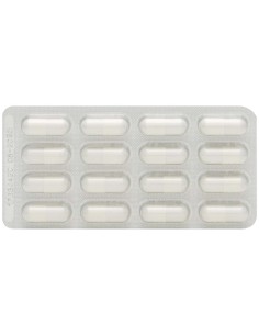 Ymea Silueta 64Cap. de Ymea 2