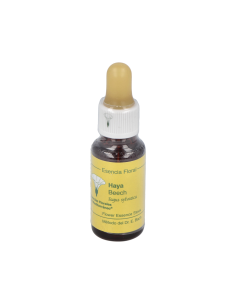 BEECH E.F.MEDITERRANEO 20 ML. 2