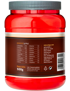 100% Whey Chocolate 500G Sotya 2