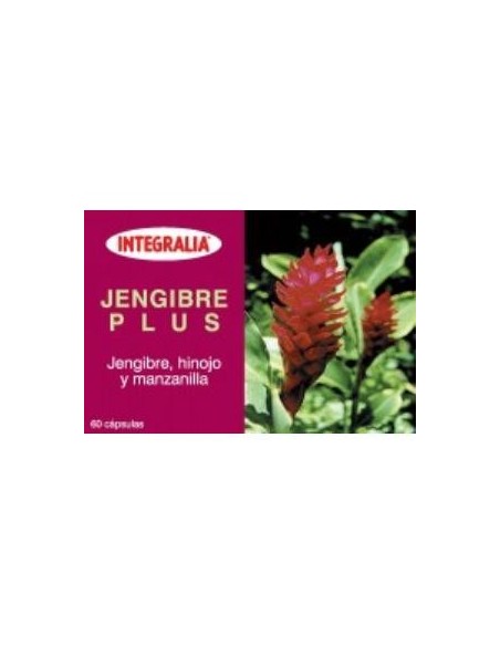 Jengibre Plus 60Cap.