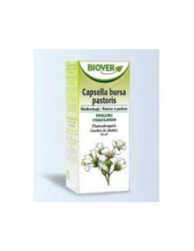Tintura Bolsa de pastor-Capsella bursa pastoris Bio 50ml Biover