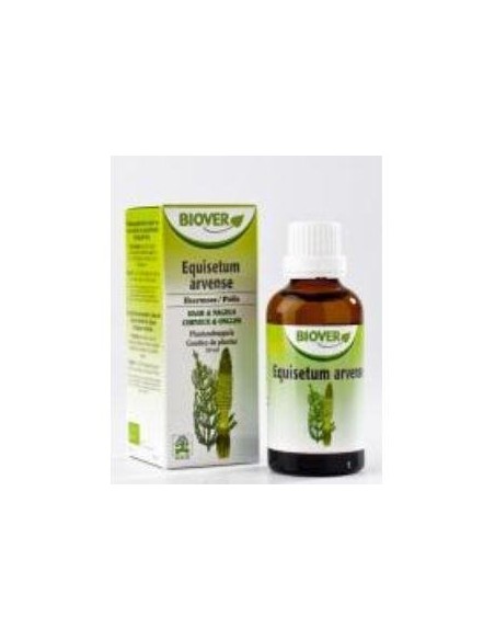 Tintura Cola de caballo-Equisetum arvense Bio 50ml Biover