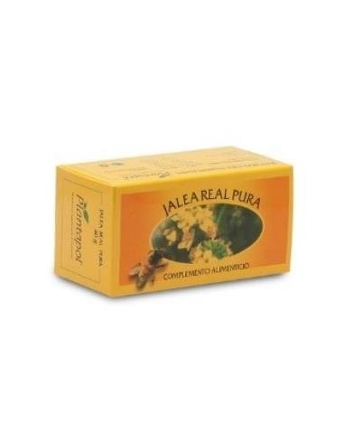 Jalea Real Fresca 20Gr. (Refrigeracion) Plantapol