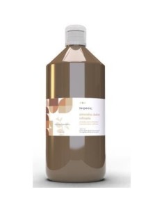 Almendras Dulces Refinado Aceite Vegetal 1Litro de Terpenic Evo