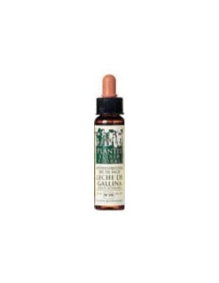 Sweet Chestnut Plantis Flores De Bach Nº 30 10Ml. de Artesania