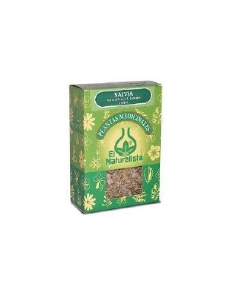 Salvia Planta 45 Gramos El Naturalista