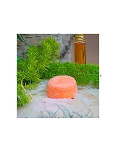 Champu Solido Volumen 85 Gramos Nitx