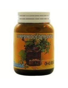 Ch43 Romero 100Comp Bellsola