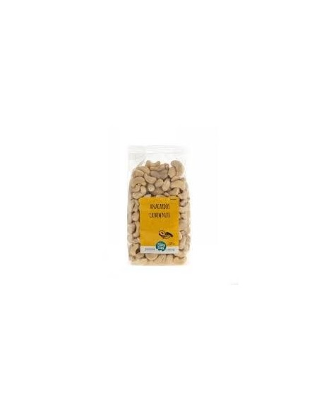 Anacardos Sin Tostar Y Sin Sal 250 G de Terrasana