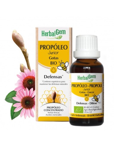 Propoleo Junior Bio 15 Ml de Herbalgem