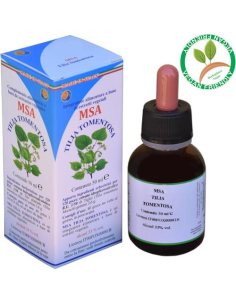 Msa Tilia Tomentosa Yemas (Tilo Plateado) de Herboplanet