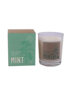 Vela Vaso Botvasm Mint Menta 7,5X9Cm 1Ud Cerabella