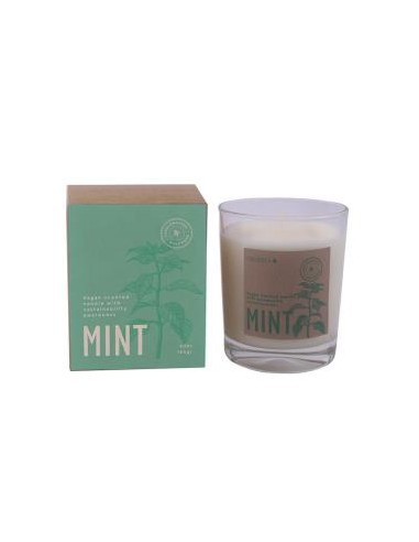 Vela Vaso Botvasm Mint Menta 7,5X9Cm 1Ud Cerabella
