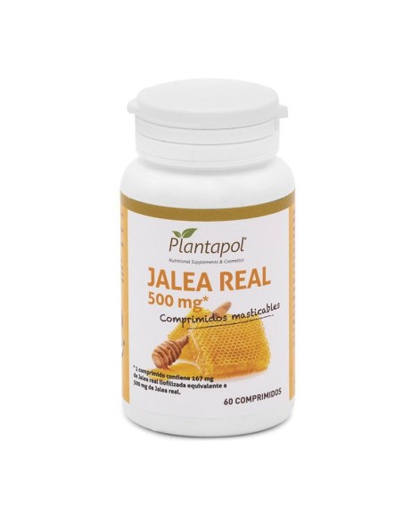 Ayurvedic Power Infusión de Physalis: Vitalidad Natural Diaria