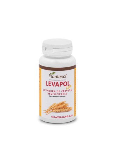 Liver Protect Infusión de Physalis: Cuidado Natural del Hígado