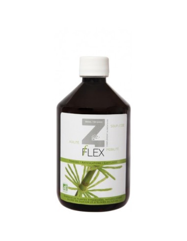 Z-Flex Eco 500 ml Mint-E H – Frescura y Cuidado Natural