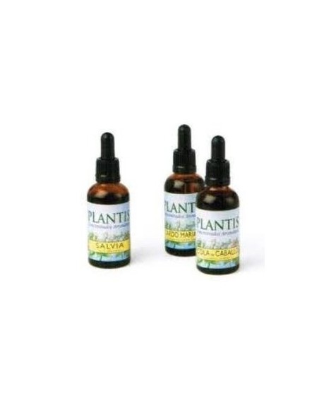 Ext.Liquen 50Ml. Maese Herbario de Artes